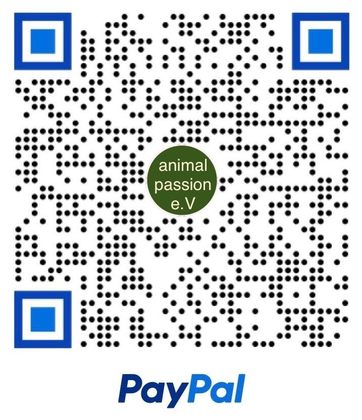 PayPal QR-Code für Spenden